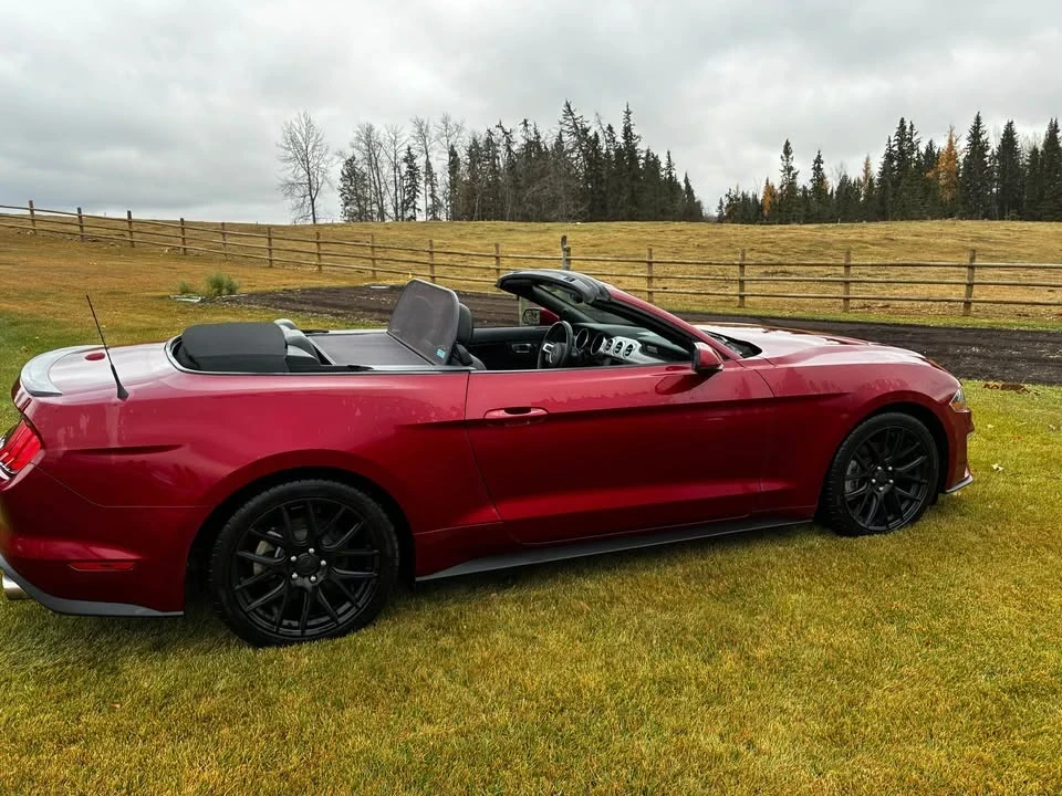 2019 Ford S550 Mustang - Image 2 of 13