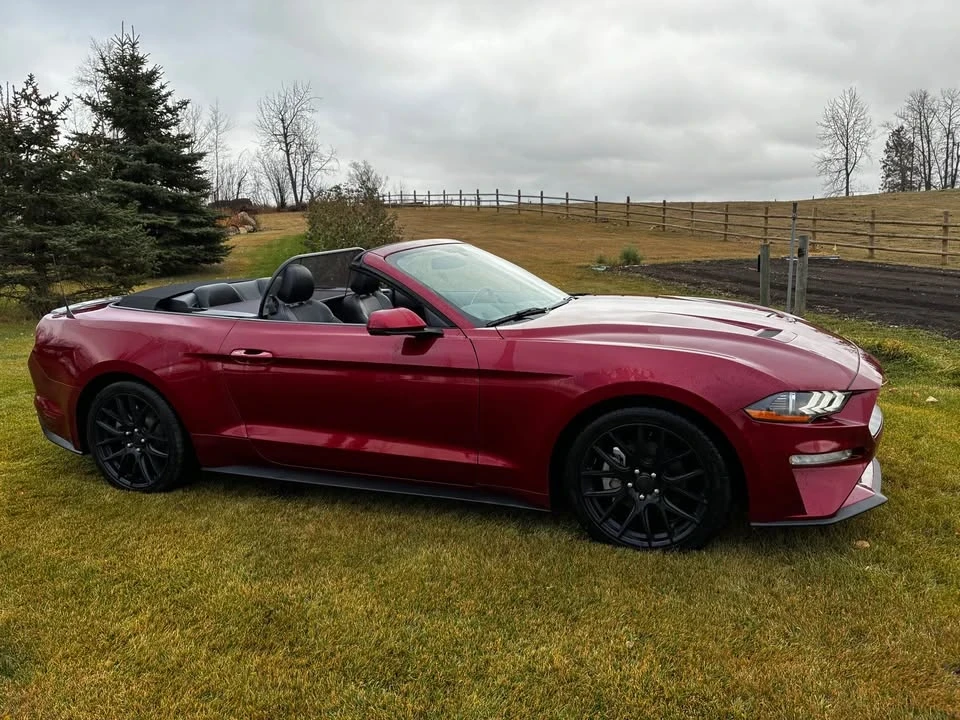 2019 Ford S550 Mustang - Image 4 of 13