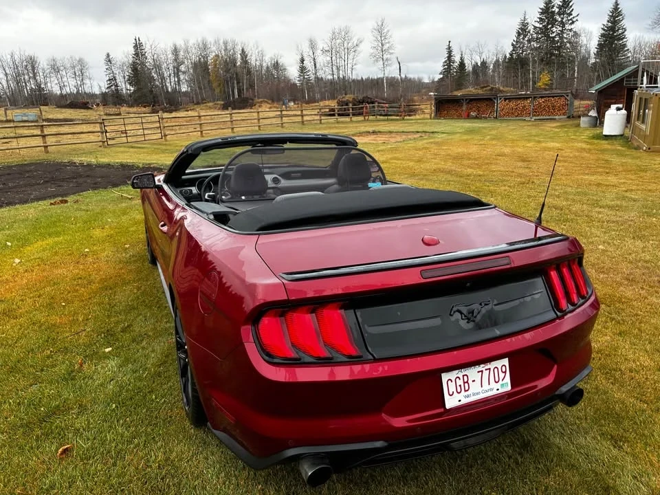 2019 Ford S550 Mustang - Image 3 of 13