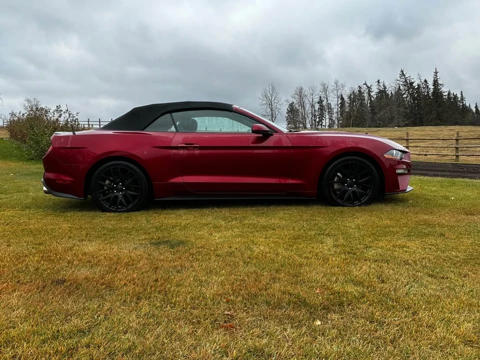 2019 Ford S550 Mustang - Image 6 of 13