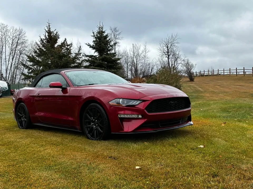 2019 Ford S550 Mustang - Image 8 of 13