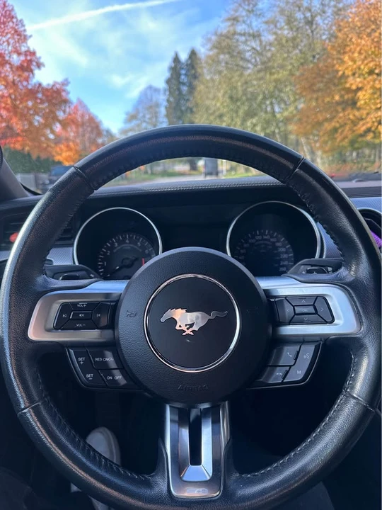 2019 Ford S550 Mustang - Image 7 of 8