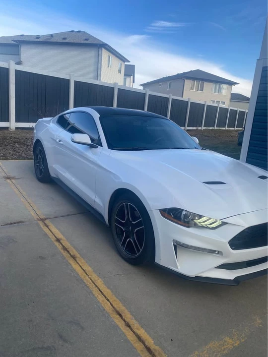 2019 Ford S550 Mustang - Image 4 of 8