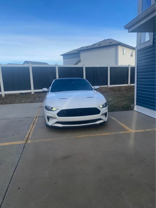 2019 Ford S550 Mustang - Image 3 of 8