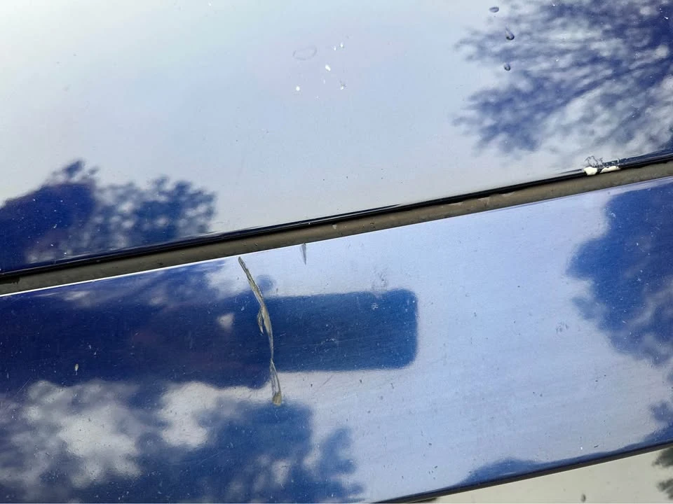 2019 Ford S550 Mustang - Image 11 of 18