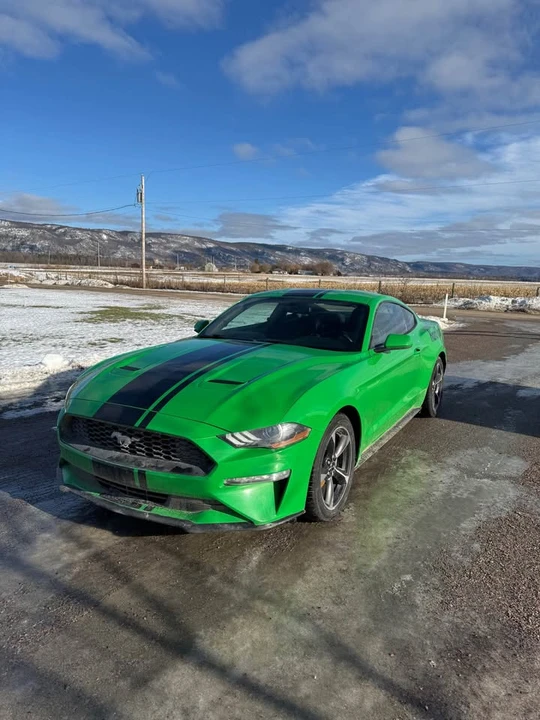 2019 Ford S550 Mustang - Image 2 of 11