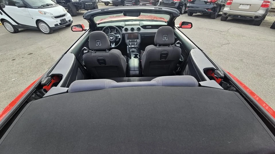 2019 Ford Mustang - Image 10 of 15