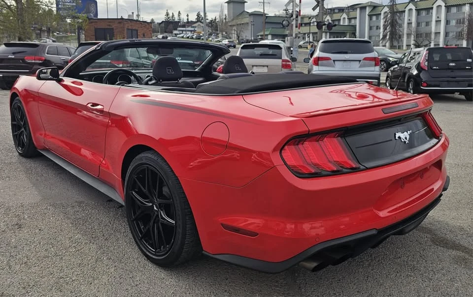 2019 Ford Mustang - Image 3 of 15