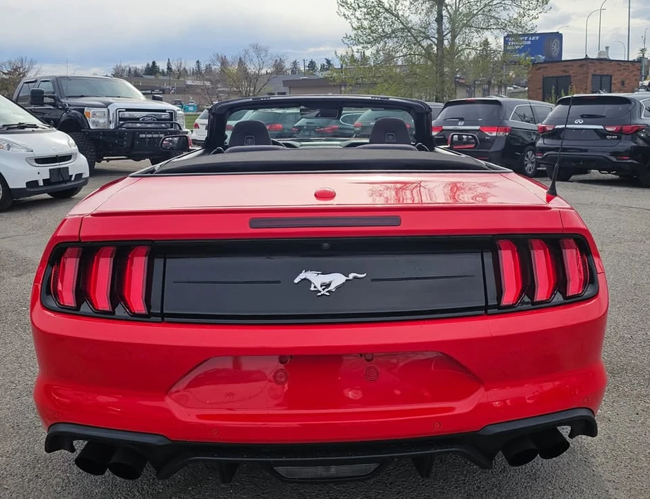 2019 Ford Mustang - Image 4 of 15