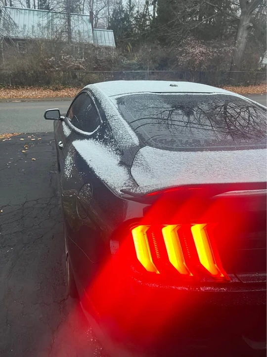 2019 Ford S550 Mustang - Image 2 of 19