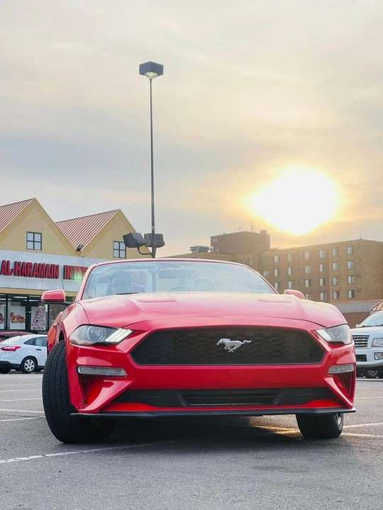 2019 Ford S550 Mustang - Image 13 of 13
