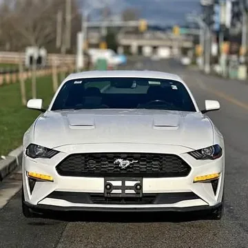 2019 Ford Mustang