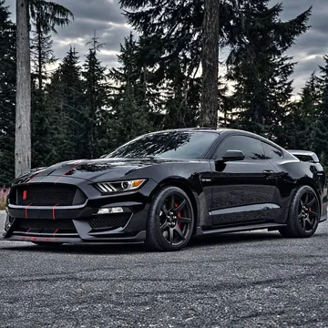 2019 Ford Mustang Shelby GT350R Coupe