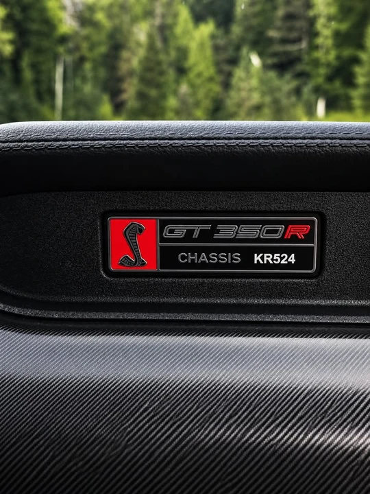 2019 Ford S550 Mustang - Image 17 of 20