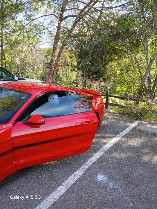 2019 Ford S550 Mustang GT - Image 3 of 7