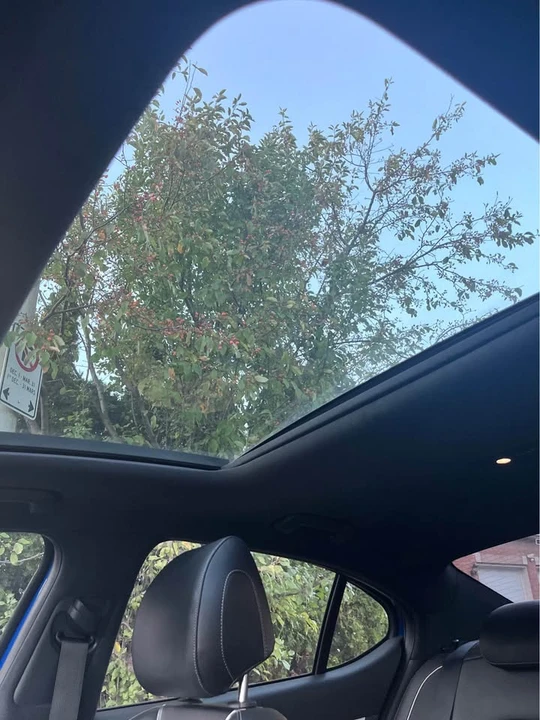 2019 Genesis G70 - Image 13 of 19