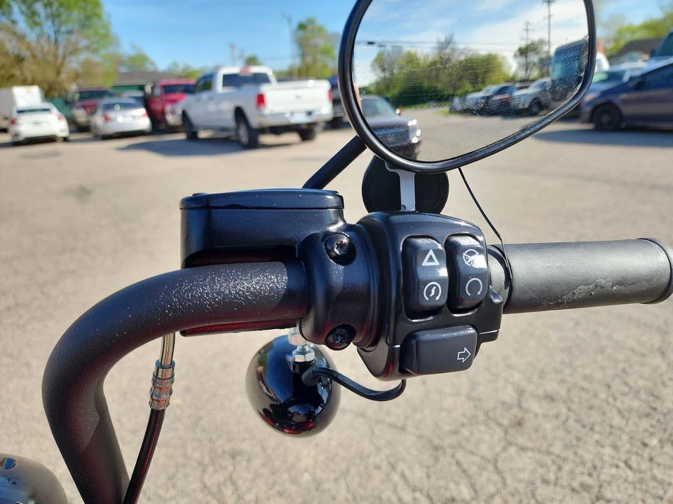 2019 Harley-Davidson Softail - Image 19 of 20