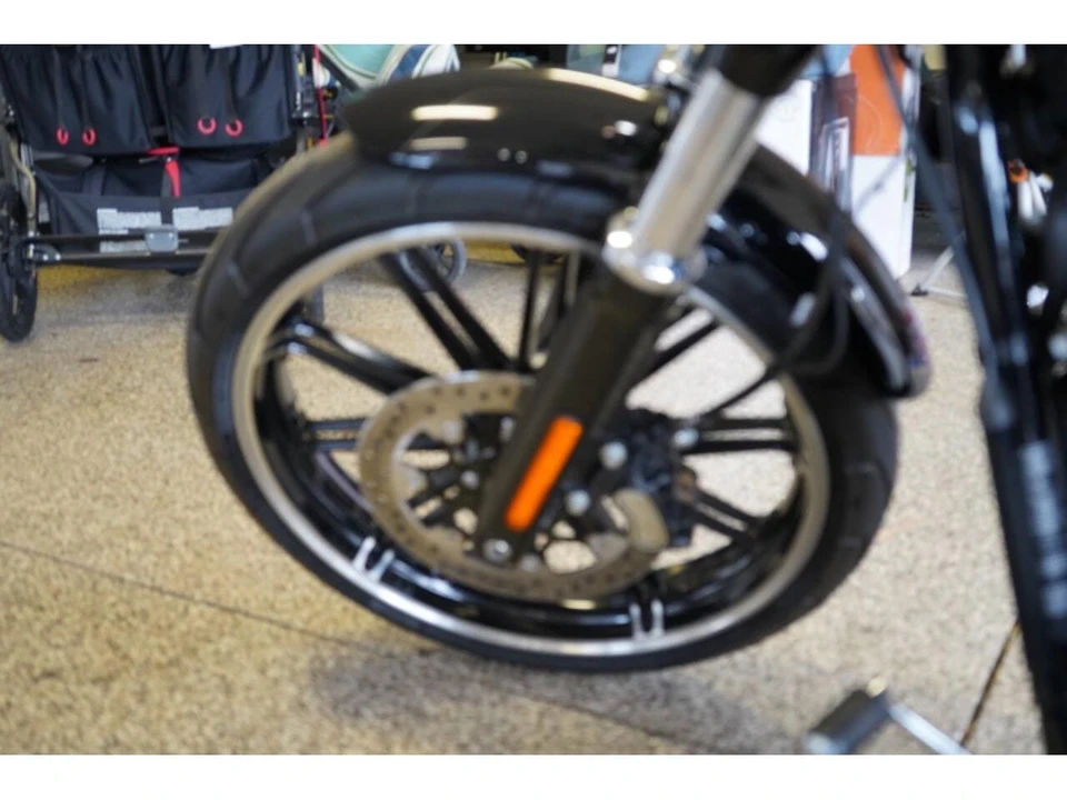2019 Harley-Davidson Softail - Image 24 of 28