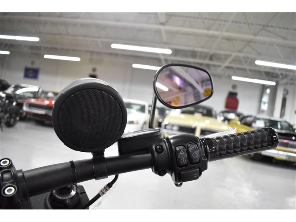 2019 Harley-Davidson Softail - Image 22 of 28