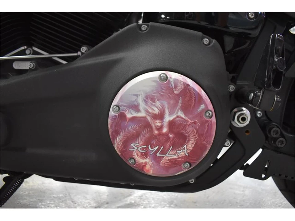 2019 Harley-Davidson Softail - Image 24 of 28