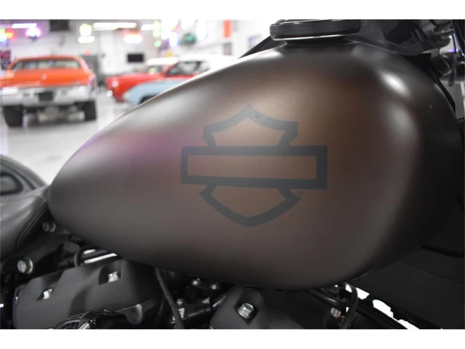 2019 Harley-Davidson Softail - Image 26 of 28