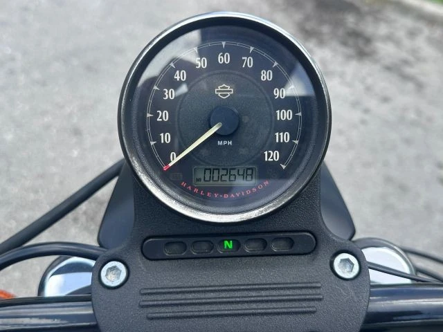 2019 Harley-Davidson Sportster Rubber Mount - Image 13 of 13