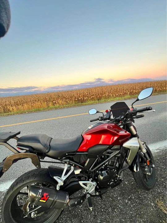 2019 Honda CBR - Image 4 of 8