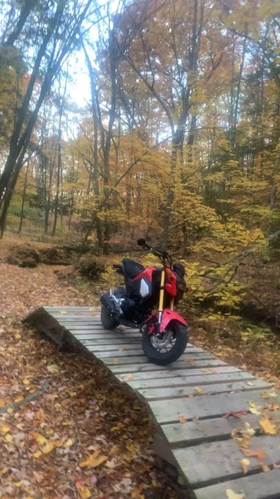 2019 Honda Motorcycles - Image 2 of 3