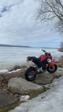 2019 Honda Grom