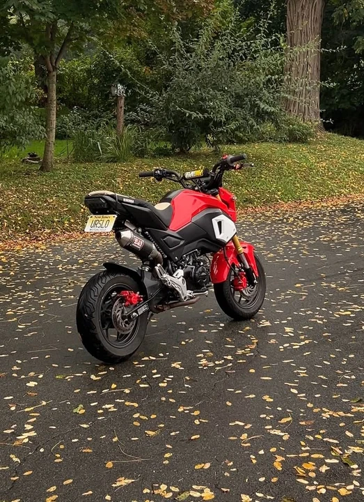 2019 Honda Motorcycles - Image 2 of 9