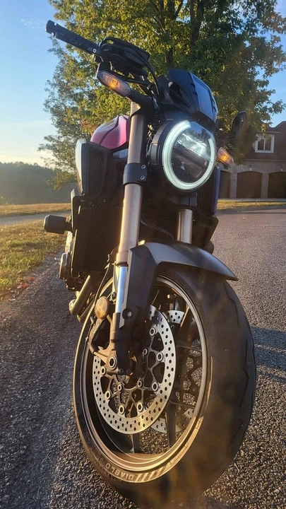 2019 Honda Motorcycles - Image 7 of 8