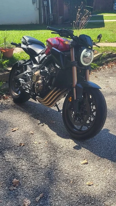 2019 Honda Motorcycles - Image 6 of 8