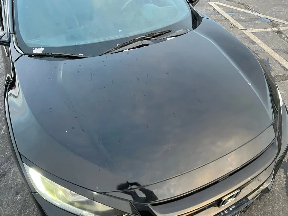 2019 Honda Civic 10th Gen - Image 15 of 20