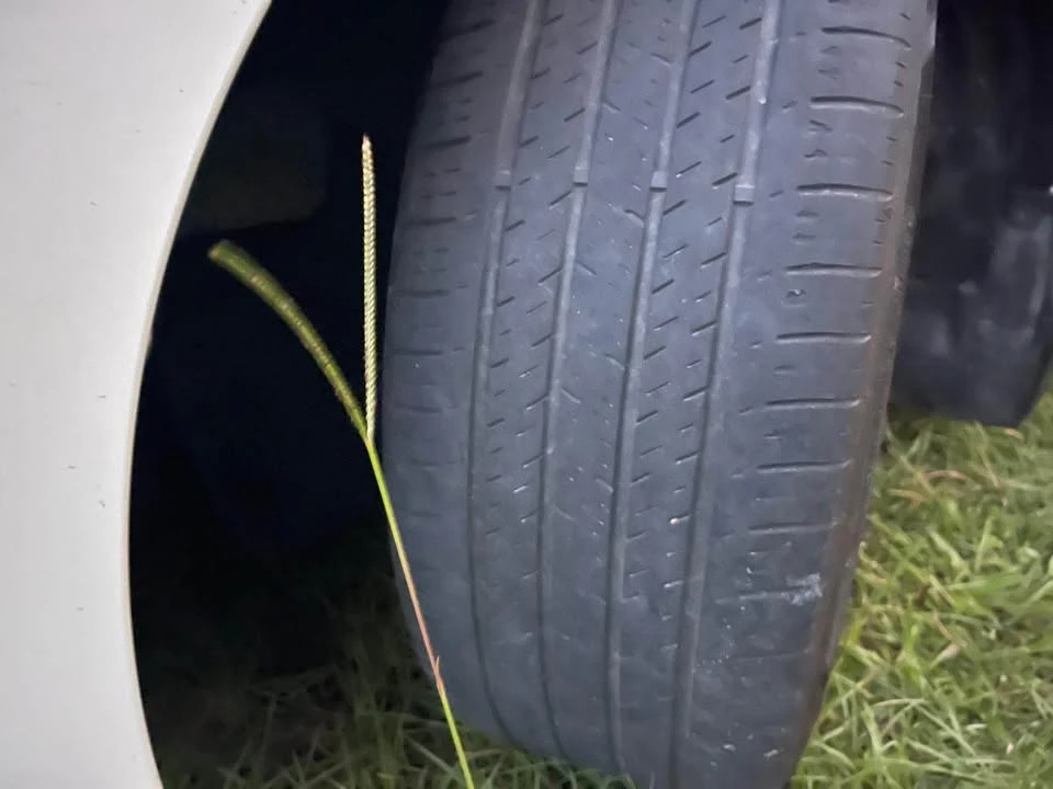 2019 Honda Civic 10th Gen - Image 17 of 18
