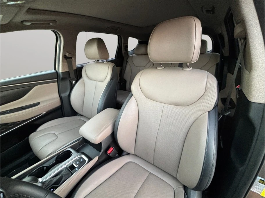 2019 Hyundai Santa Fe - Image 20 of 21