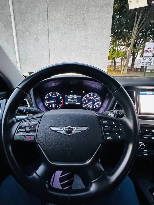 2019 Hyundai Genesis - Image 2 of 18