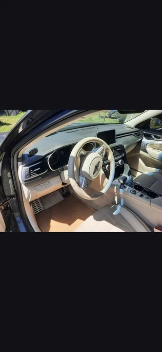 2019 Hyundai Genesis - Image 7 of 16