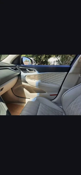 2019 Hyundai Genesis - Image 16 of 16