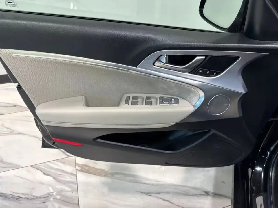2019 Hyundai Genesis - Image 12 of 13