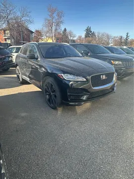2019 Jaguar F-PACE Portfolio