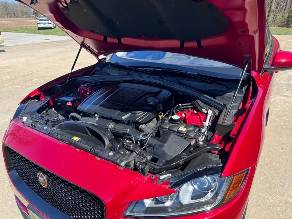 2019 Jaguar F-Pace - Image 6 of 6