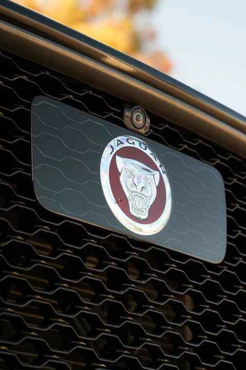 2019 Jaguar F-Pace SVR - Image 29 of 31