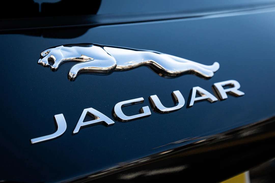 2019 Jaguar F-Pace SVR - Image 29 of 31