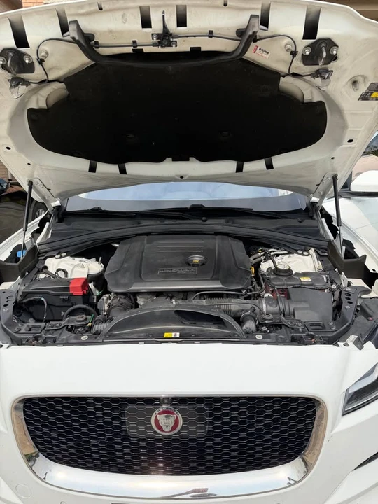 2019 Jaguar F-Type 1st Gen - Image 18 of 20
