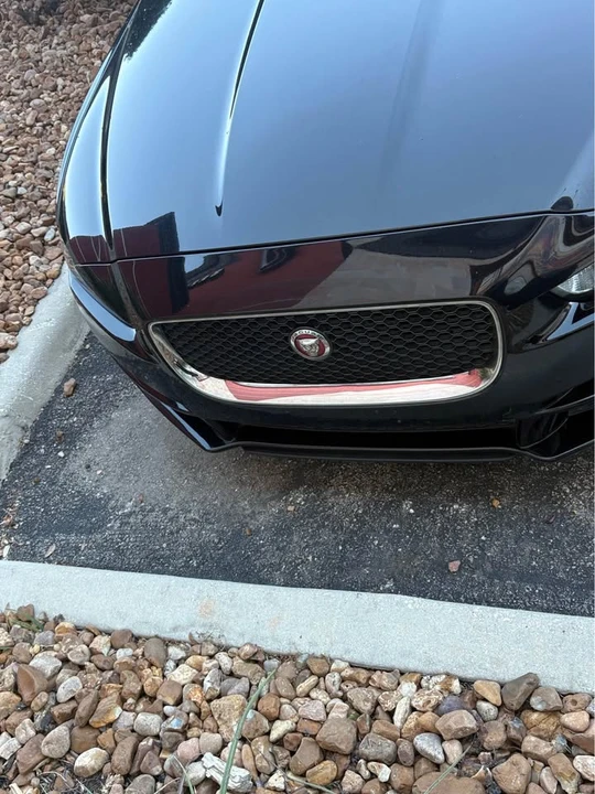 2019 Jaguar XE - Image 4 of 12