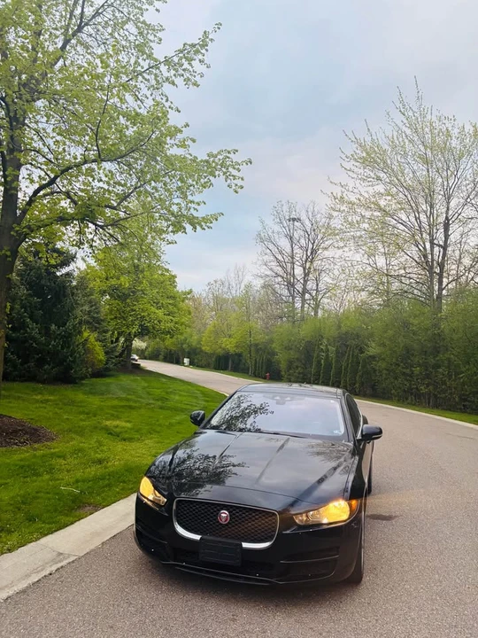 2019 Jaguar XE - Image 3 of 12