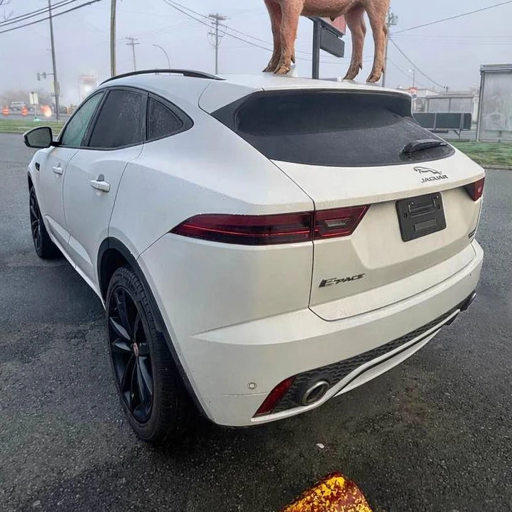 2019 Jaguar E-Pace - Image 2 of 8