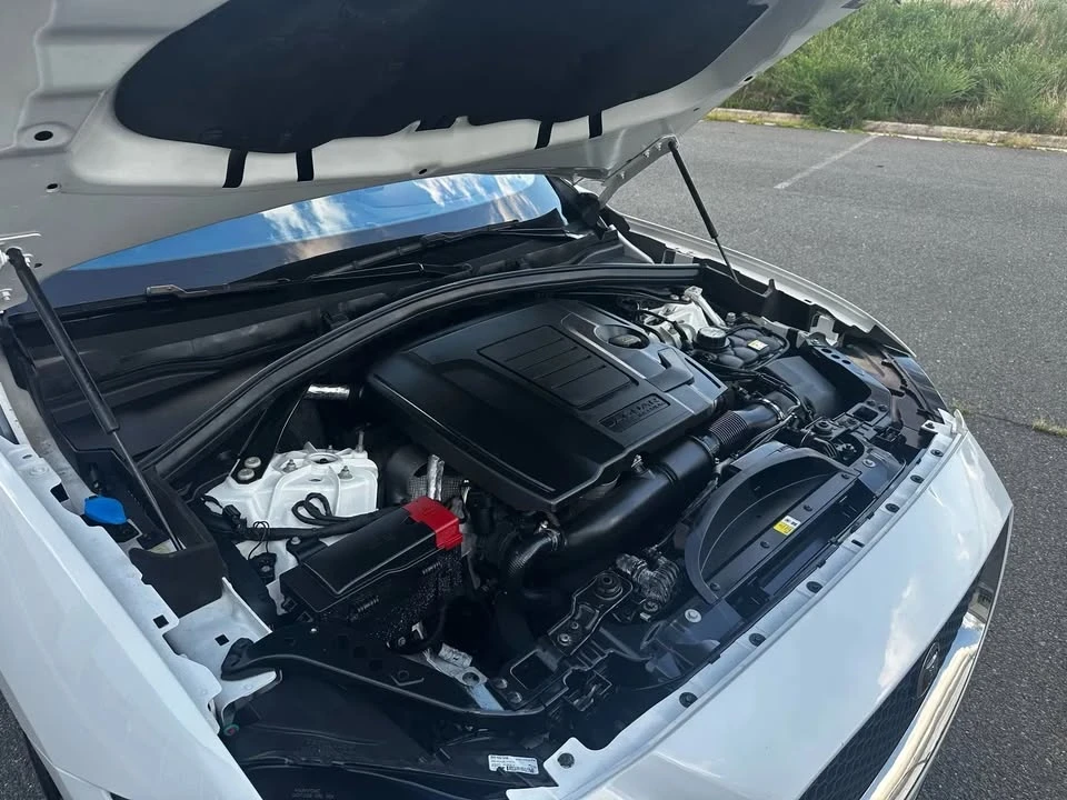2019 Jaguar F-Pace - Image 13 of 13