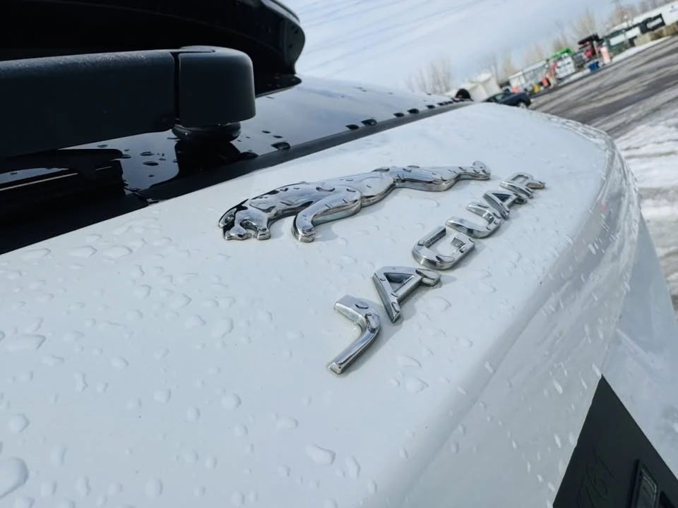2019 Jaguar F-Pace - Image 5 of 19