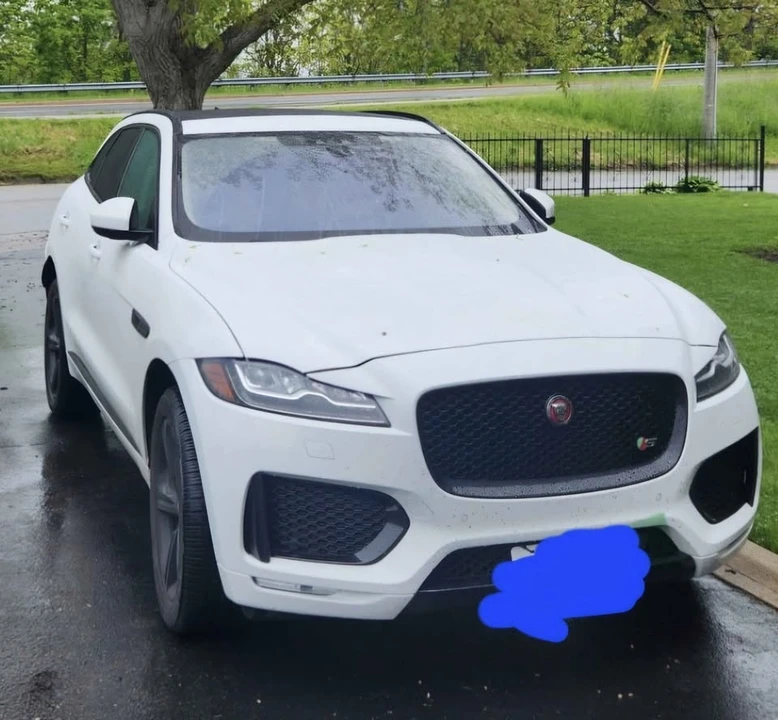 2019 Jaguar F-Pace - Image 2 of 8